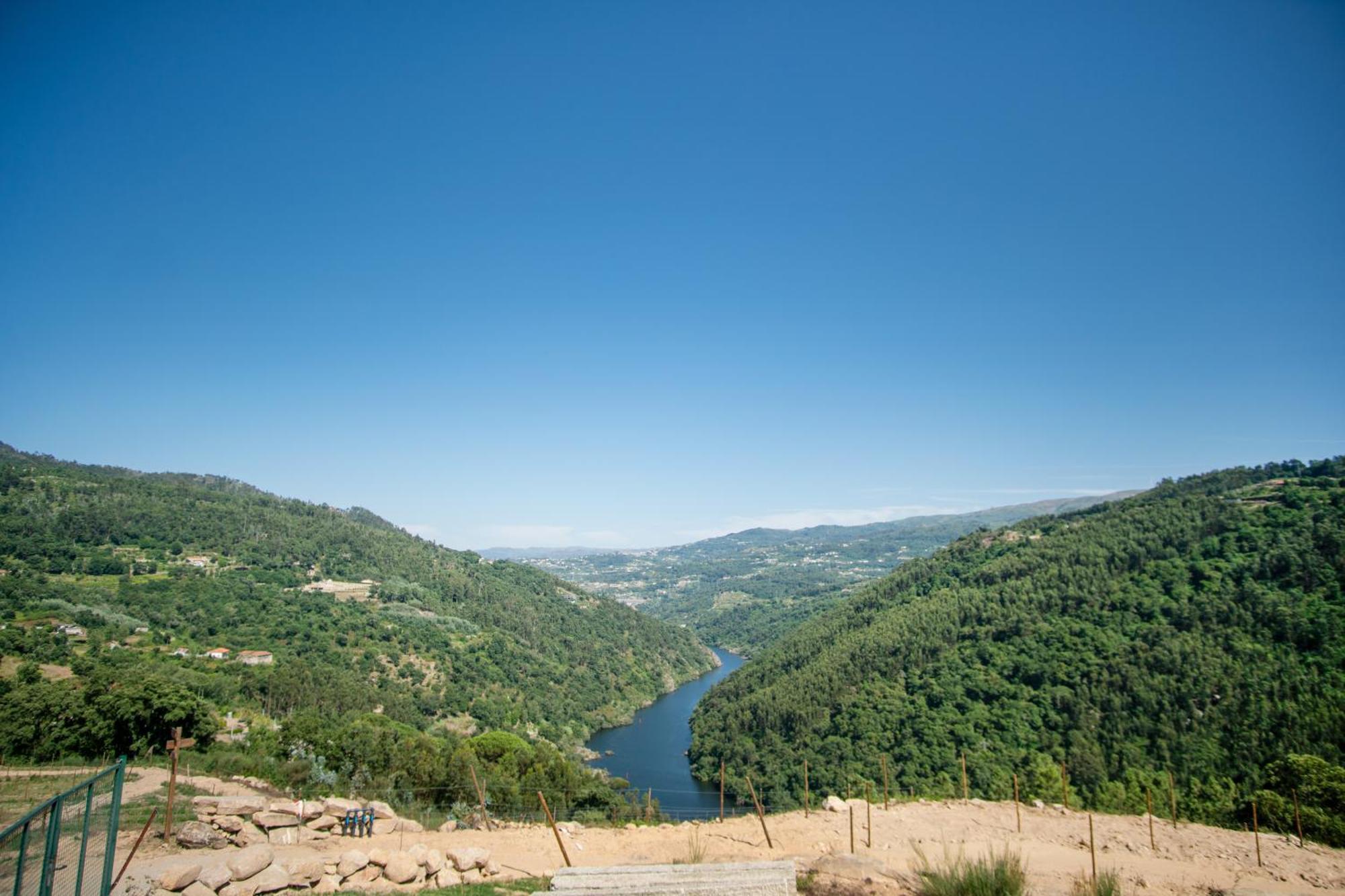 Quinta De Douro *