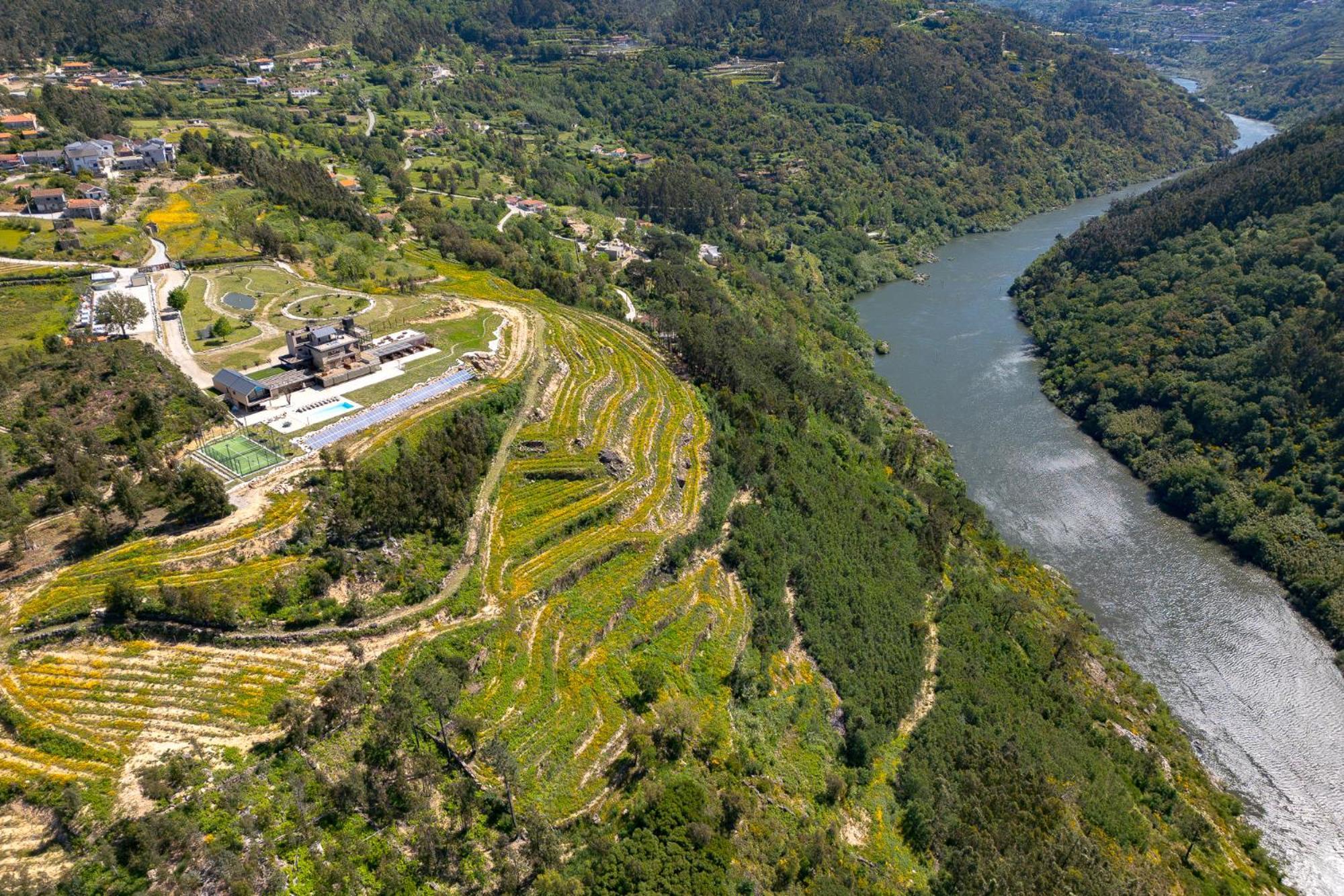 Country house Quinta De Douro *